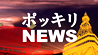 ほぼ日刊！ ポッキリNEWS。